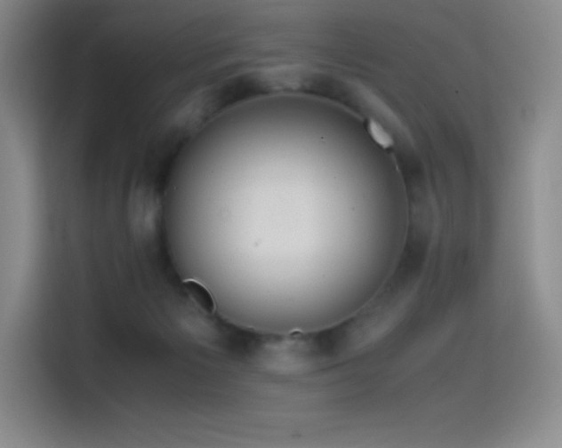 X0000114620125200910201140