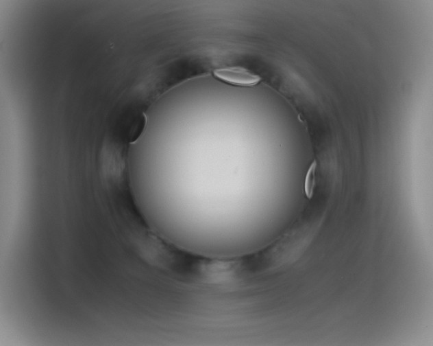 X0000114620129200910201140