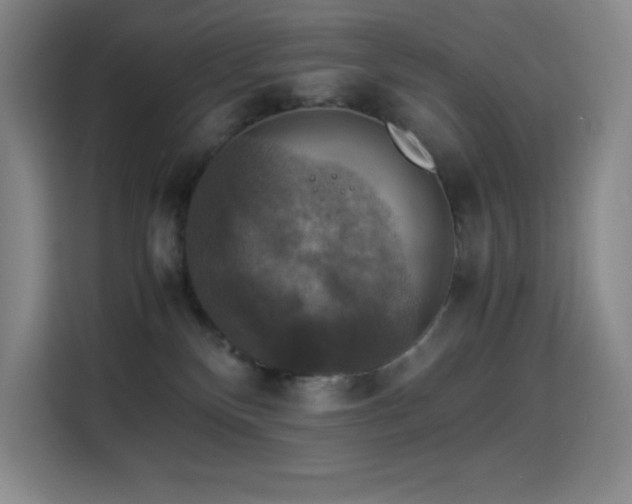 X0000114620136200910201140