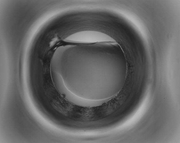 X0000114620143200910201140