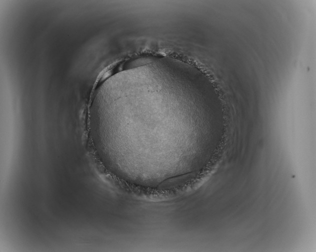 X0000114620144200910201140