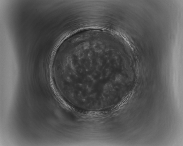X0000114620145200910201139