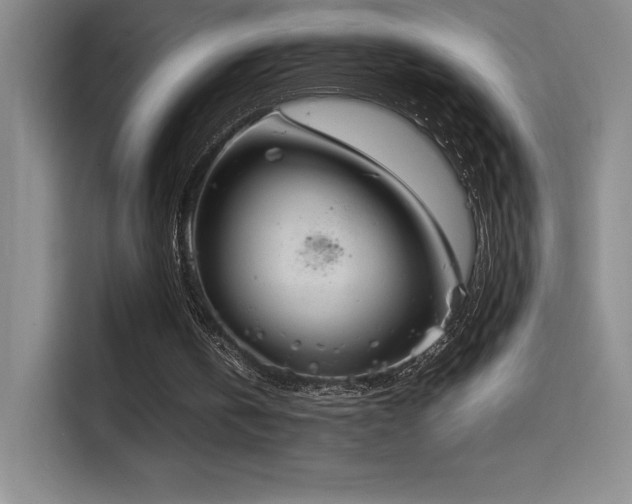X0000114620146200910201139