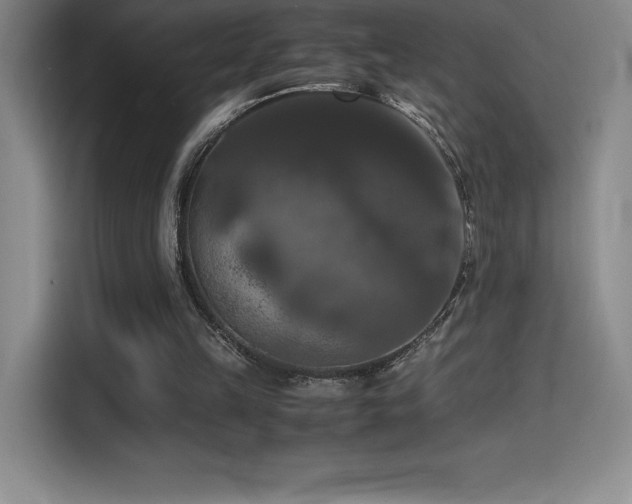 X0000114620149200910201139