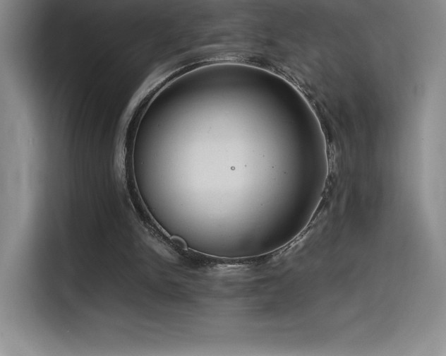 X0000114620150200910201139