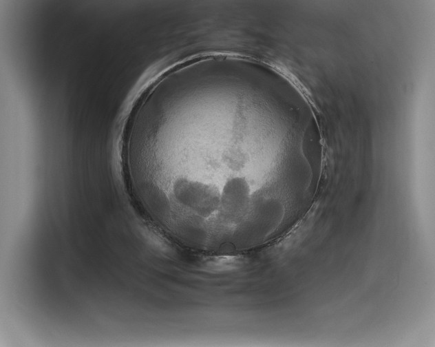 X0000114620151200910201139