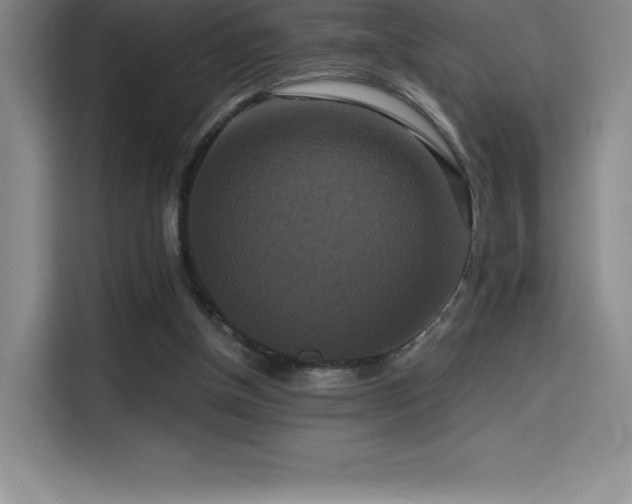 X0000114620154200910201139