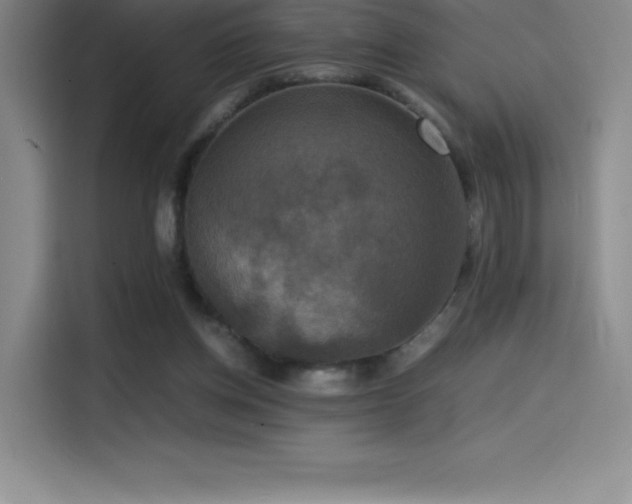 X0000114620158200910201139
