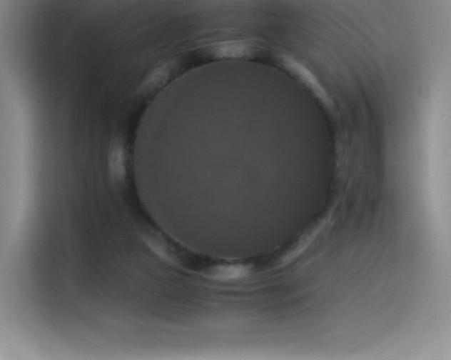 X0000114620161200910201139