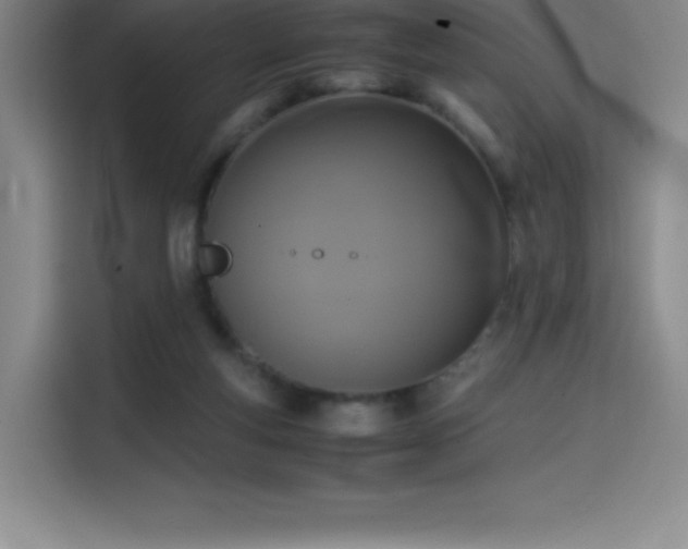 X0000114620163200910201139