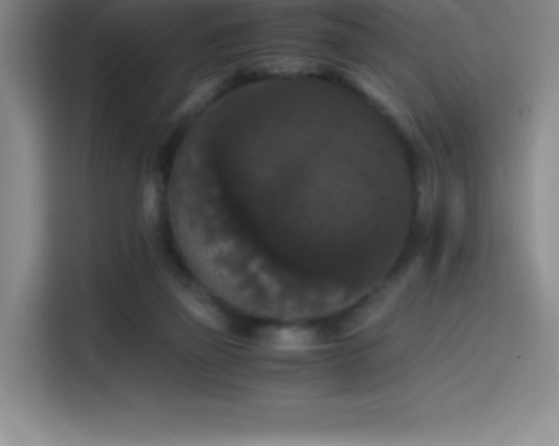 X0000114620165200910201139