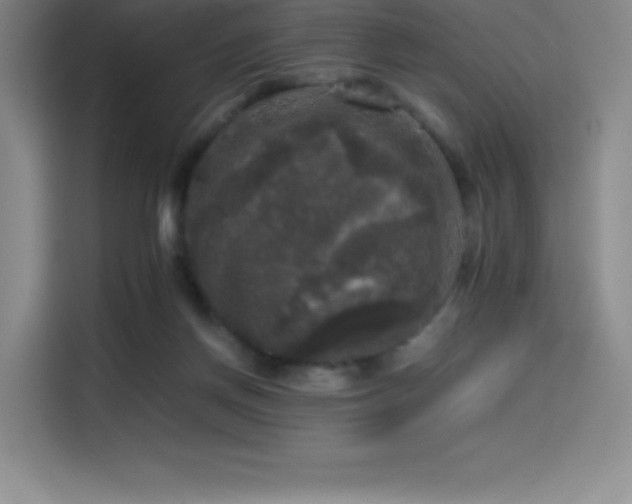 X0000114620166200910201139