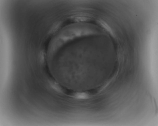 X0000114620169200910201140