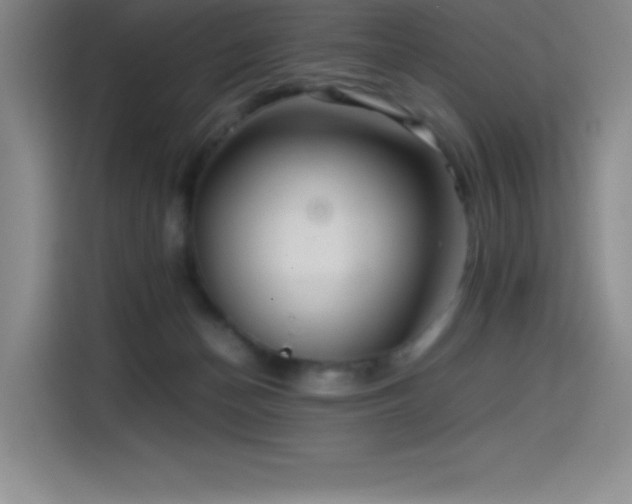 X0000114620174200910201140