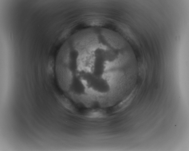 X0000114620175200910201140