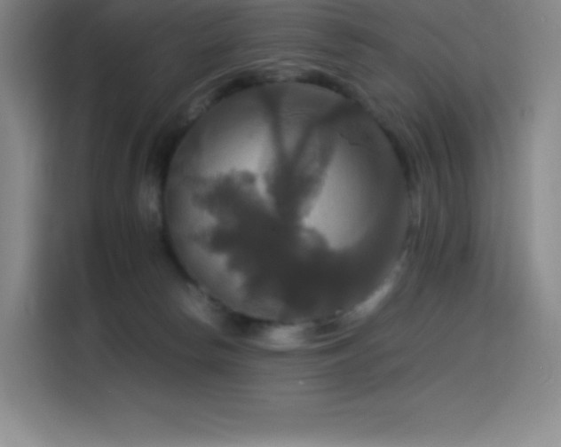 X0000114620178200910201140