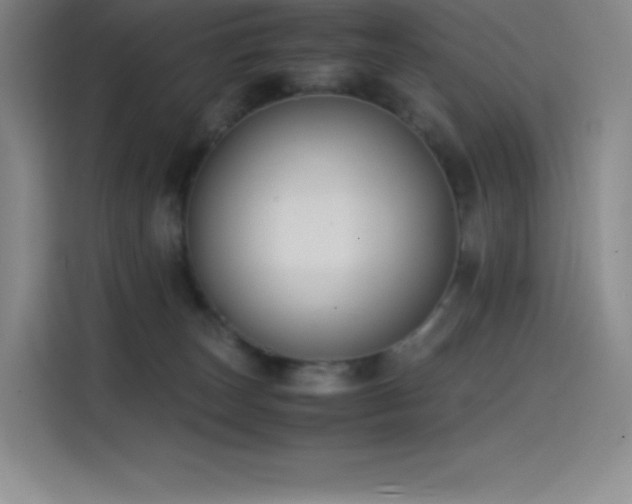 X0000114620179200910201140