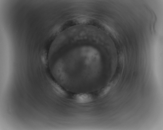 X0000114620181200910201140