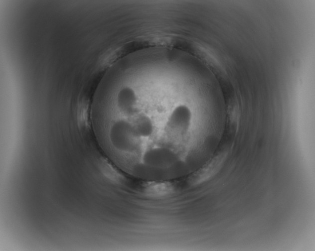 X0000114620185200910201140