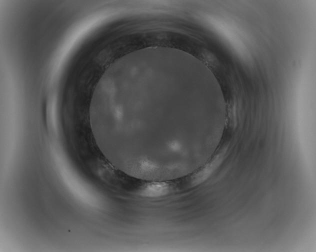 X0000114620189200910201140