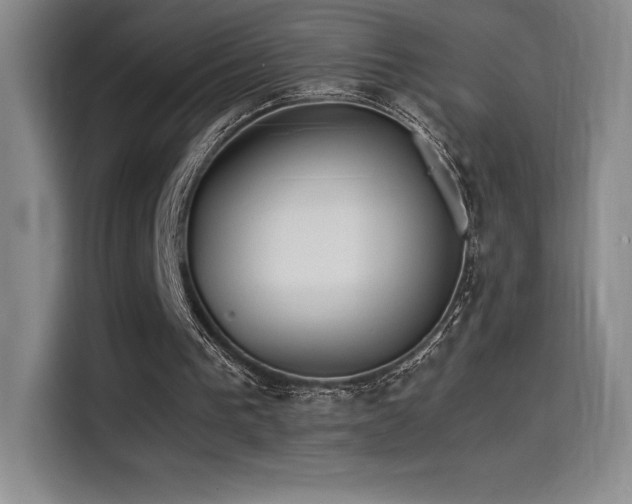 X0000114620193200910201139