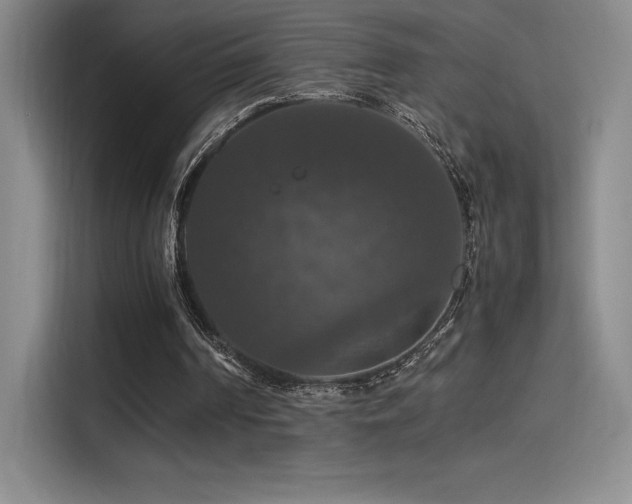 X0000114620194200910201139