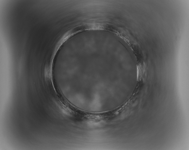 X0000114620195200910201139