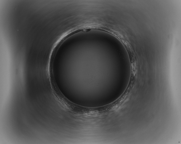 X0000114620196200910201139
