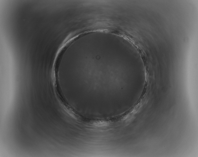X0000114620198200910201139