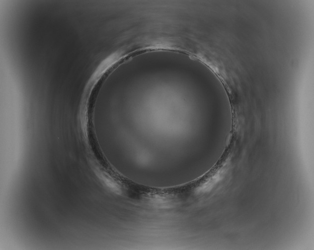 X0000114620199200910201139