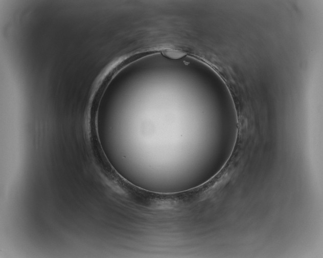 X0000114620200200910201139
