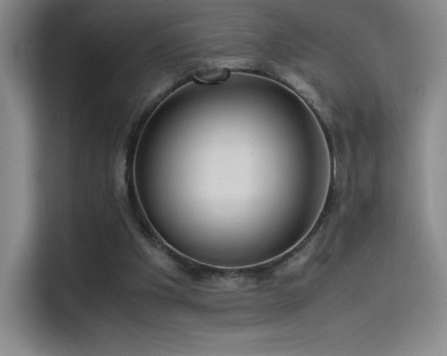 X0000114620201200910201139
