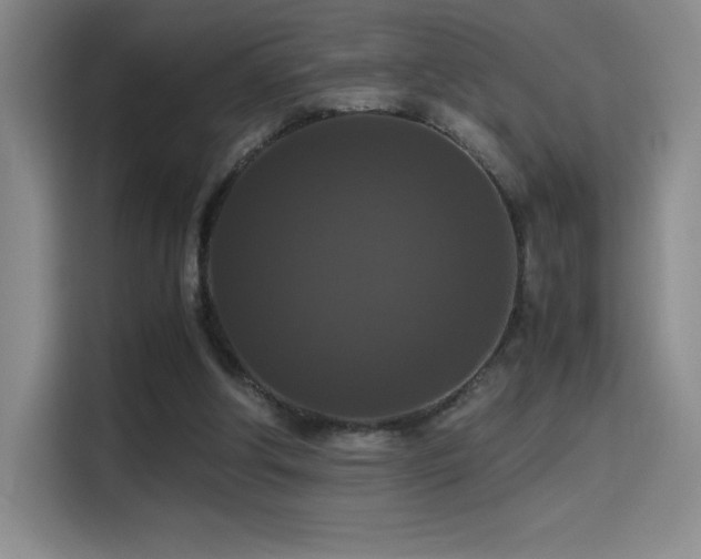 X0000114620202200910201139