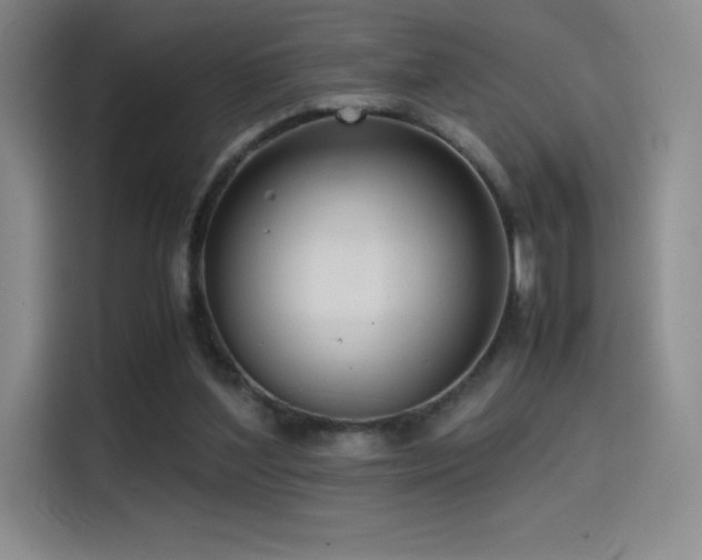 X0000114620204200910201139