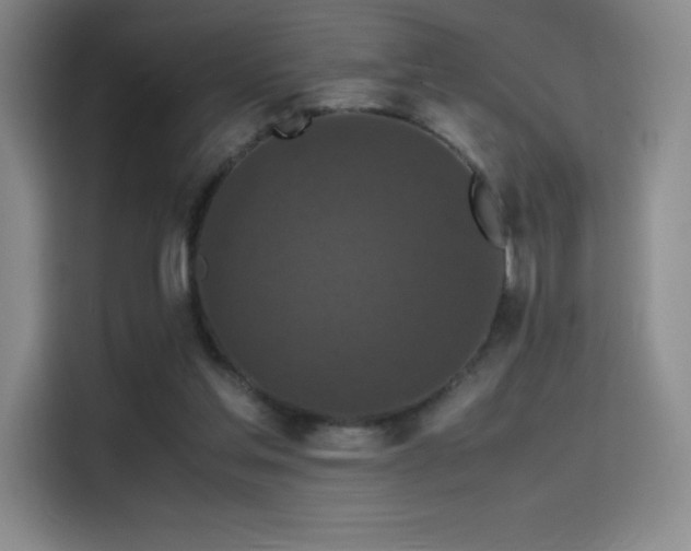 X0000114620205200910201139
