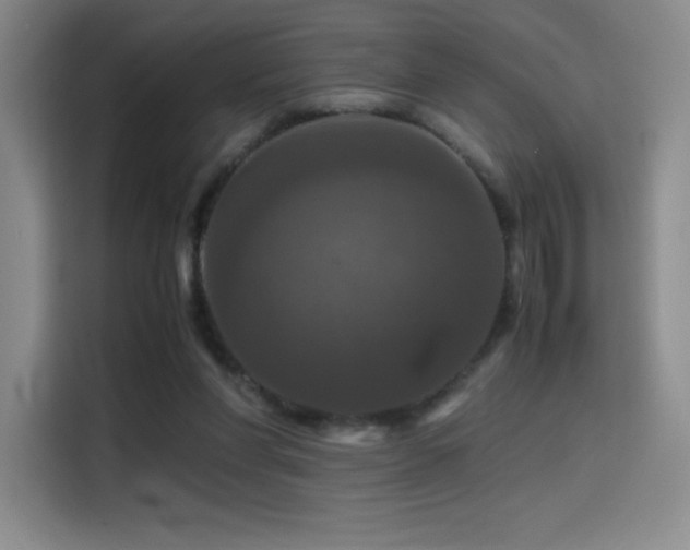X0000114620206200910201139