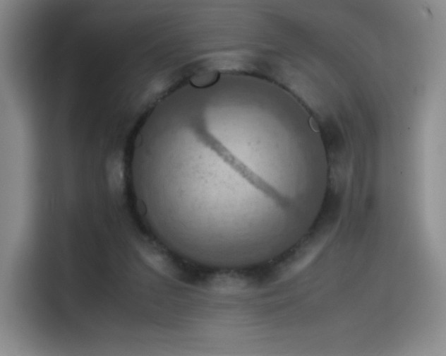 X0000114620207200910201139