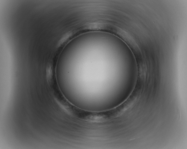X0000114620208200910201139