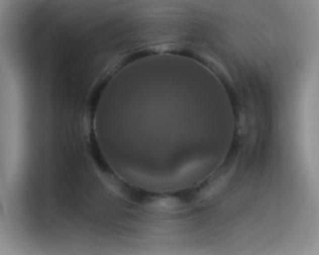X0000114620210200910201139