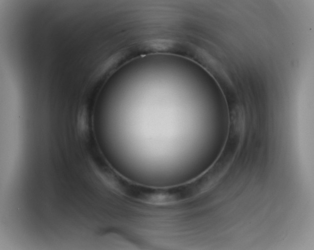X0000114620212200910201139