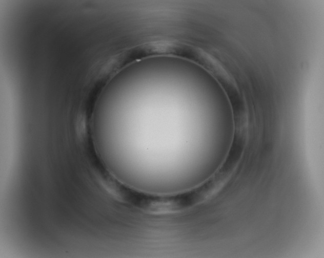 X0000114620213200910201139