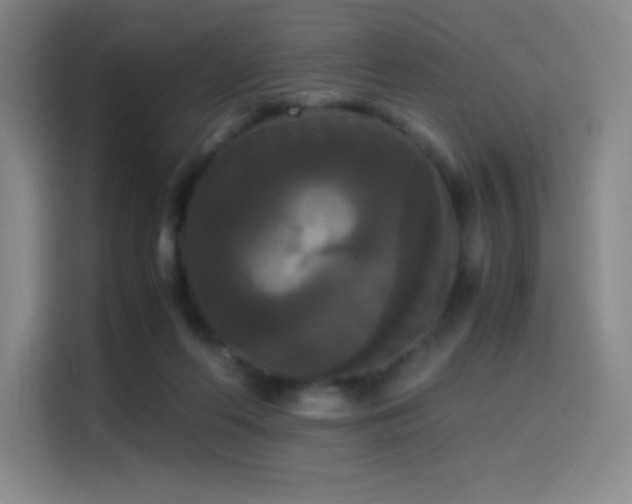 X0000114620214200910201139