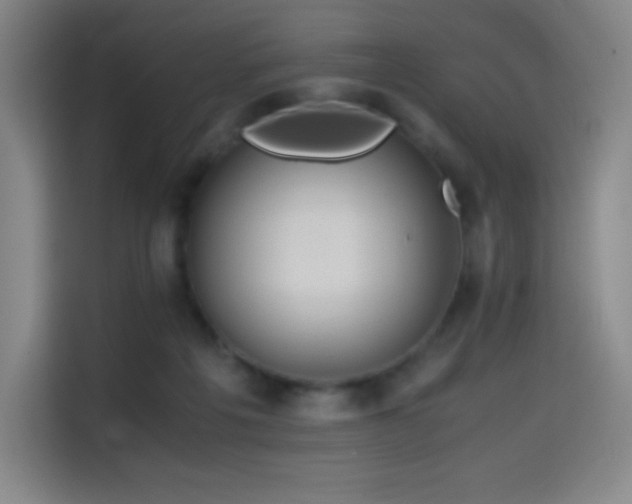 X0000114620217200910201139