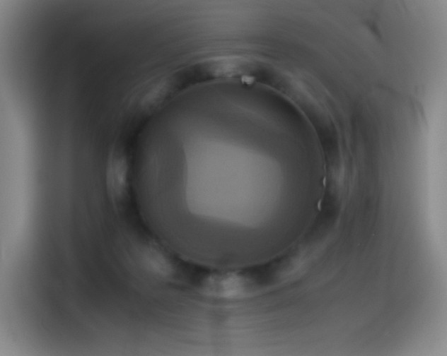 X0000114620219200910201139
