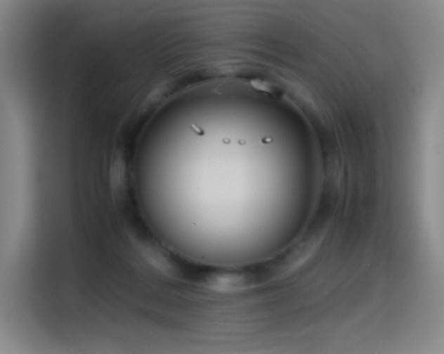 X0000114620220200910201139