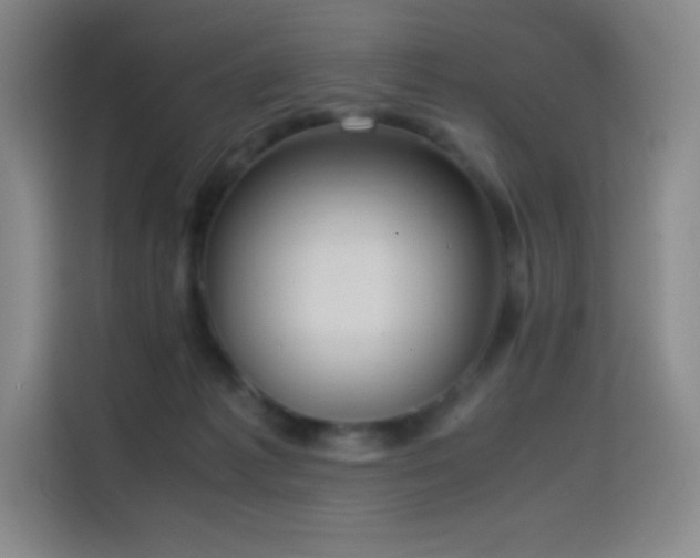 X0000114620221200910201139