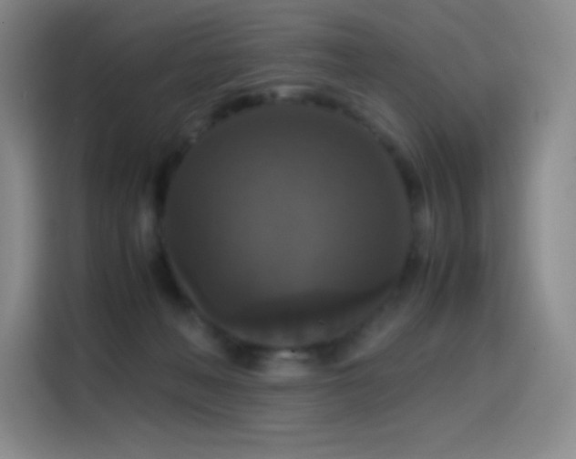X0000114620222200910201139