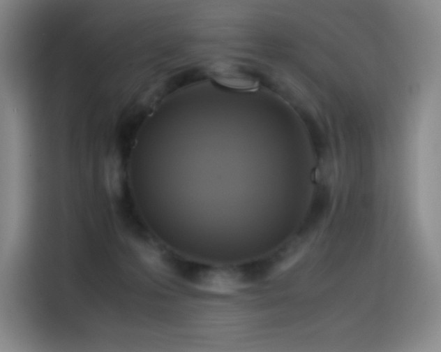 X0000114620223200910201139