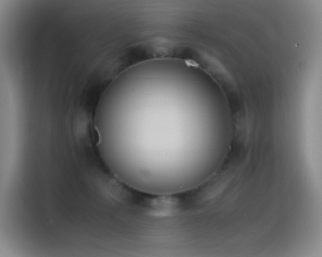 X0000114620225200910201139