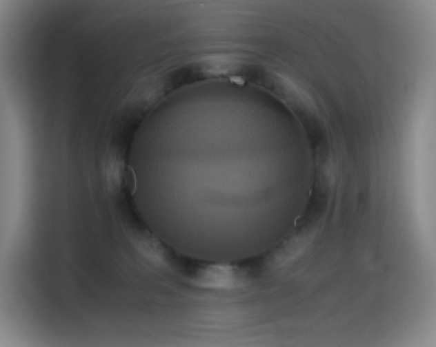 X0000114620227200910201139